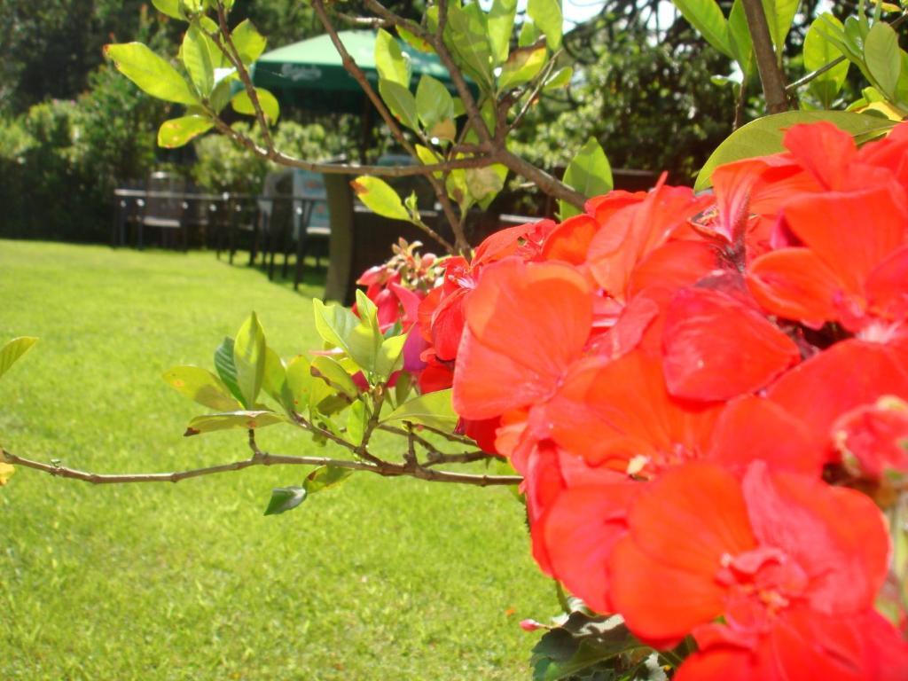 Hotel Al Fiume 台格纳 客房 照片